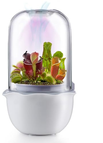 Ronjregan Smart Planter avec minuterie et ventilateur, petit kit de terrarium pour plantes grasses, piège à mouches Vénus, plantes carnivores, pot en verre transparent avec lampe de croissance LED et