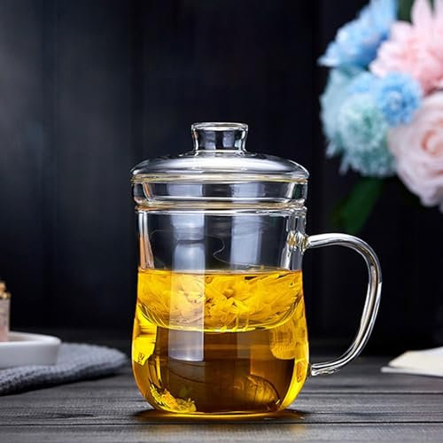 EdirFtra Glas-Teetasse 400ml, mit Deckel und Filter, transparent, hitzebeständig, Borosilikatglas, Blumen-Tee-Becher, Büro-Milch-Becher, Kaffee-Becher