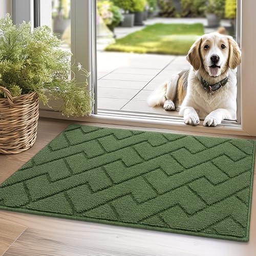 Biscpro Door Mats Indoor, Dirt Trapper Mat Absorbent Non-Slip Low Profile Doormat for Entrance, Inside, Kitchen, Front Door Mat Washable for Pets and Dogs— 50x80 cm, Green