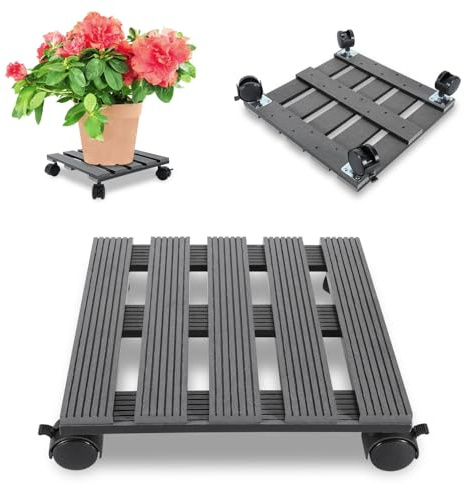 Monucep Rullo per piante 30 x 30 cm, portata 80 kg, con ruote bloccabili, per interni ed esterni, colore grigio