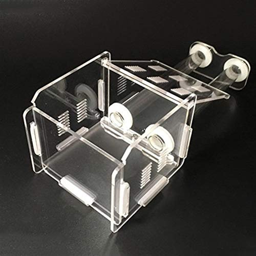 Insektenvilla Ameisennest Reagenzglas AntHouse Insektenvilla Display Box Acryl Ameisennest Ameisenfarm Insect Villa 9.5 X 9 X 7.6cm Pet Mania Haus Für Ameisen Fütterung Wissenschaft Bildungs