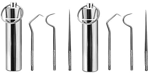 DCQQ Lot de 2 Cure Dent Metal kit Portable réutilisable porte-cure-dents en acier inoxydable Cure-Dents Nettoyage de Crochet de Dent Grattoir avec Porte-Clés pour Pique-Nique et Camping en Plein Air