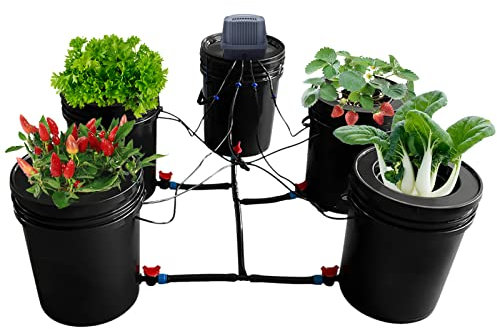 Kit sistema di coltivazione idroponica 5 secchi, sistema di irrigazione automatica da 5 galloni, coltura in acqua profonda, sistema di giardino a goccia a ricircolo con kit serbatoio per piante da int