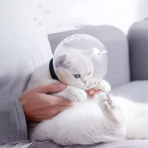 Katzen-Anti-Biss-Kapuze, transparente Kapuze, atmungsaktiv, Anti-Biss-Maulkorb, stoppt Beißen, Kauen, für Katzenpflege, Baden