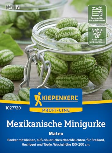 Kiepenkerl Profi-Line Mexikanische Minigurkensamen Mateo 1027720 – Ranker - süß- säuerlich - Naschfrüchte - Saatgut, Samen Gemüse, Gurkenpflanzen