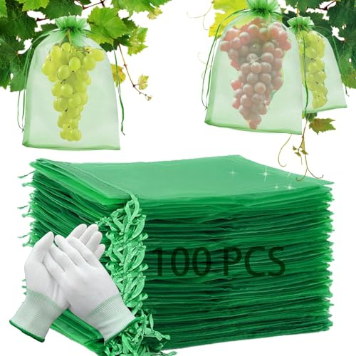 Trauben Schutzbeutel 100 Stück, 20x30CM Obst Schutzbeutel Organzabeutel mit Zugband, Pflanzen Schutzbeutel Garten Netzbeutel zum Schutz vor Wespenfrass Vögel Kirschessigfliege (Grün)