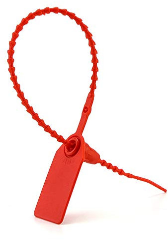 QWORK® 100 Stück Kabelbinder mit Beschriftungsfeld, Selbstsichernde Schild für Kabelmanagement und Schuhe Kleidung Gepäckanhänger Verwendet (Rot)