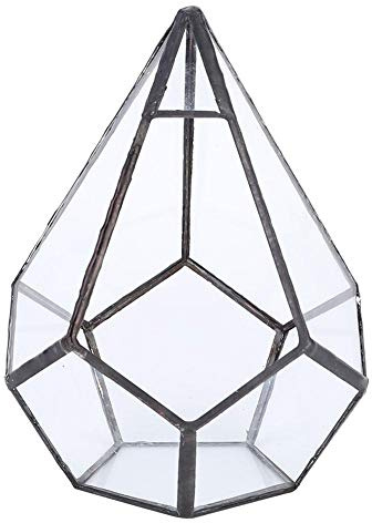 Dodecaedro geometrico in vetro trasparente color argento, terrario a globo, contenitore per interni, vaso da giardino fatato, centrotavola per piante grasse, tavolino da caff¨¨, elegante vaso di fiori
