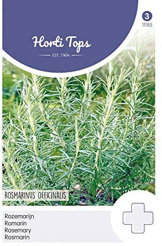 Hortitops 11185 Rosmarino (semi di rosmarino)