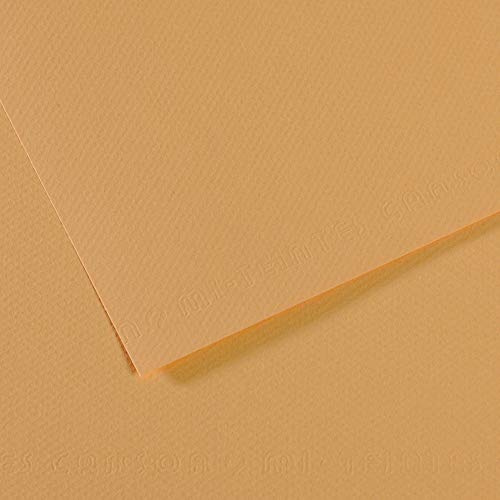 Canson Mi-Teintes Papel de Color de Pulpa Teñida, 160 g/m2, Beige (Oyster - 340), 29,7x49, Pack de 10