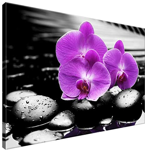 Estika Leinwand bilder - Violette Orchideen, Schwarz weiß Hintergrund - 90x60 cm, 1 teilige kunstdruck - Wandbilder wohnzimmer, schlafzimmer, Moderne wanddeko, Bild auf leinwand - 1379A_1L
