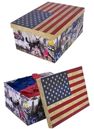 Kreher® 2 Stück Aufbewahrungsbox mit Deckel, Deko Papp-Karton, Stapelbox, 45 Liter mit Griffen, 51 x 37 x 24 cm (USA_New York)