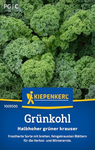 Kiepenkerl Grünkohlsamen Halbhoher grüner krauser 1009500, Gemüsesaat | Gemüsesamen für einen frostharten Kohl mit breiten und feingekrausten Blättern, aromatisch, Aussaat ab Saat