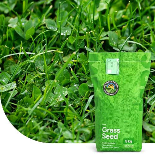 Clover Lawn : Semences de gazon avec micro-trèfle - 2 kg pour 100 m² - Pelouse luxuriante et durable - Résistante à la sécheresse - Peu d’entretien - Idéale pour les zones ombragées