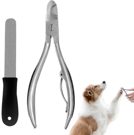 Generisch Ciseaux à griffes pour chiens - Ciseaux de précision antidérapants pour une utilisation intensive - Pour la maison et les déplacements - Pour l'intérieur et l'extérieur - Pour chats