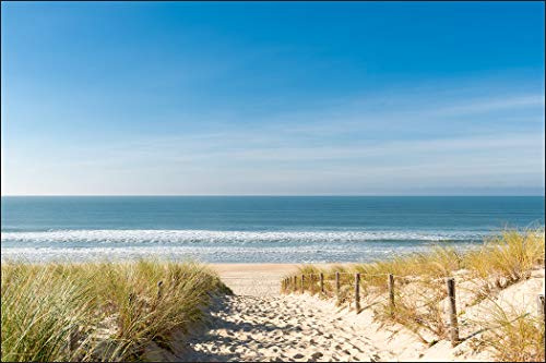 Muralo Fototapete Vlies Strand, Dünen, Meer, Himmel, XXL - 300x450 cm | Fantasievolle Tapete, hochauflösender Druck - ideal für Wohnzimmer und Schlafzimmer, Urlaubsfeeling für jeden Tag