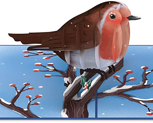 papercrush® Biglietto po-pup di Natale con Pettirosso - Biglietto di Natale 3D con uccello sipmatico in inverno per donne (fidanzata, mamma, zia, nonna), Cartolina Natale come buono o regalo in denaro