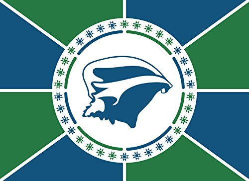 magFlags Drapeau Large Adopté par la collectivité territoriale de Martinique en mai 2019, nommé Ipséité | drapeau paysage | 1.35m² | 100x140cm