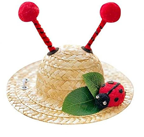Leadigol Sombrero de paja para gato y perro, bonita gorra de sol para perros pequeños y gatos, regalos para mascotas, fiesta de cumpleaños, sombrero de playa tejido de mariquita