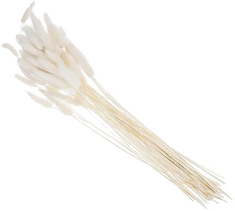 RORPOIR 60 Stück Getrocknete Hasenschwänze Grasschwänze Natürliche Blumen Für Hochzeitsdekoration Home-Party Büro Fotoshooting
