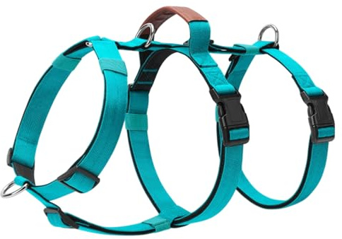 Qsvbeeqj Ergonomisches Hundegeschirr Dekoratives Trainingsgerät Zum Laufen Und Schwimmen Für Kleine Und Große Hunde Ausbruchsicheres Geschirr