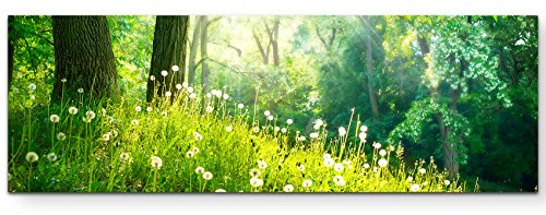 Leinwandbilder | Bilder Leinwand 150x50cm Pusteblumen im Wald