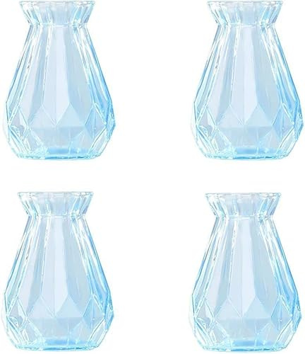Macetas, macetas de interior, jarrón, maceta.1 jarrón de cristal de jacinto, cristal de jacinto, jarrones de flores transparentes, for decoración de plantas suculentas/sistemas de aire (14,5 x 8 cm, r