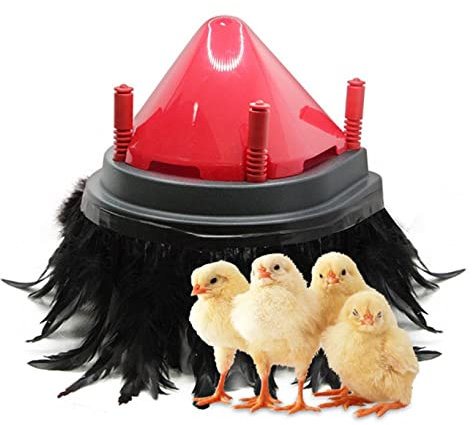 BINOXY Plaque Chauffante pour Éleveuse Poussins Et Cône Anti-remous Plaque Chauffante pour Éleveuse Poussins Hauteur Réglable, Réchauffe Jusqu'à 15 Poussins