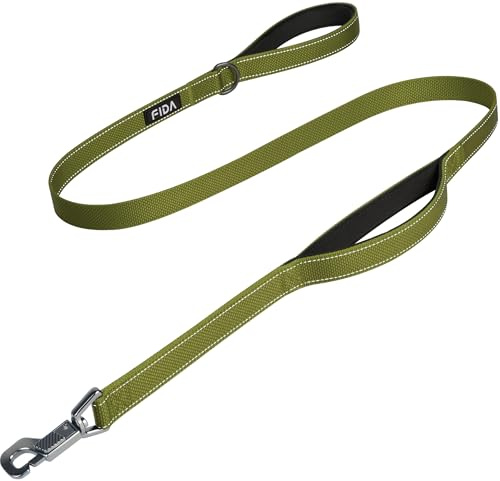 Fida Heavy Duty Dog Lead, 1.5M/5FT Dog Leads for Medium/Large Dogs, Green | Traffic Handle for 40CM Close Control, Heavy Duty Quick-Snap Hook, Reflective Stitching, for Day & Night Walks, for Training