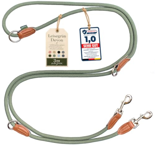 Leisegrün Nylon Hundeleine 3m Große Hunde - Verstellbar, 2 Karabiner | Führleine, Freihandleine & Umhängeleine | Paracord & Wasserfest | Farbe: Salbeigrün