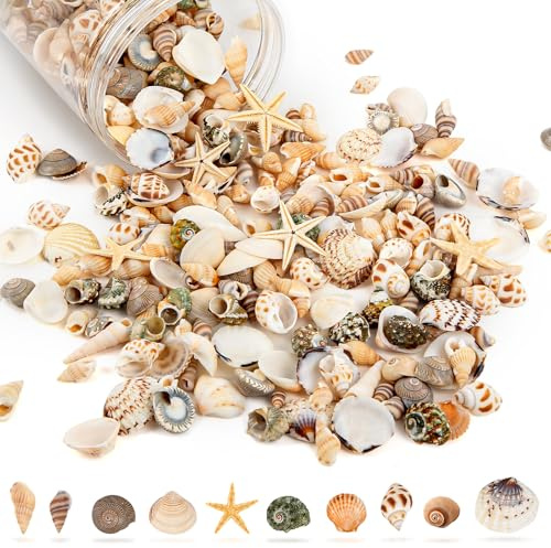 WeDoSoy Tiny Sea Shells & 6 Starfish Decor Mixed Ocean Beach Spiral Seashells for Home Decor, Wedding, Decor, Beach Decor, Vase Filler, Ocean Theme Decor, Fish Tank, Making DIY Ornaments