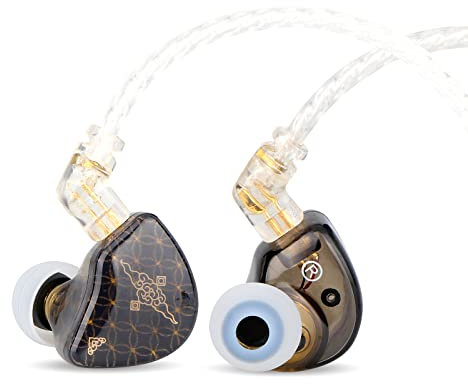 Linsoul TANGZU Wan'er S.G Écouteurs Intra-Auriculaires HiFi 10 mm avec Diaphragme en Pet de Forme Ergonomique, Câble Tressé OFC Détachable à 2 Broches pour Musicien DJ(Noir, sans Microphone)