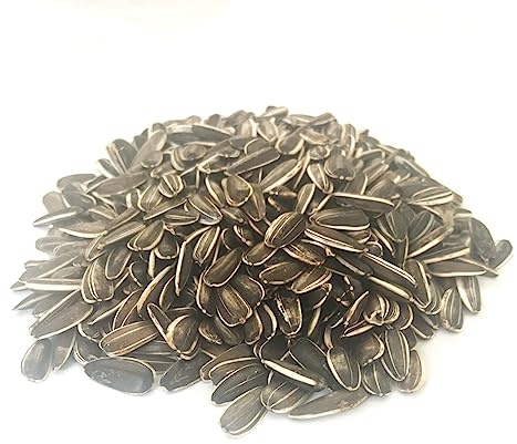 1kg Small Sunflower Seed Cage & Aviary Bird Food LGDS