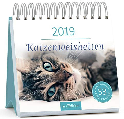 Katzenweisheiten 2019. Postkartenkalender