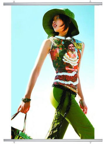 Greensen Poster Klemmschiene, Aluminium Klapprahmen Plakathalter Posterschiene Posterclip Posterleiste Posterhalter Halterung Klapprahmen Poster-Aufhänger Posterhänger (100cm)