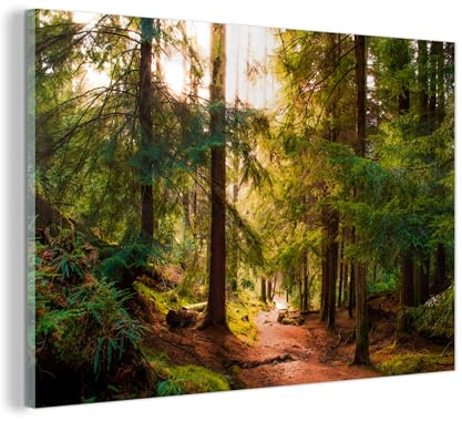 MuchoWow© Quadro Moderno Salotto Decorazioni Da Parete Immagini Su Vetro | 60x40 cm - Zona Giorno Grandi Foto Cornice Stampe Camera Da Letto Design Foresta - Verde - Alberi - Sole - Natura
