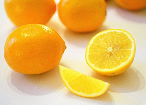 Limone Meyer (5 semi) THS fresco raccolto della stagione {succosa, delizioso}