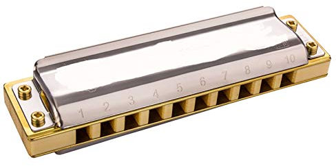 Diatonische Harmonika 10 Loch 20 Töne Blues Harp Mundharmonika Instrumentos diatonischen Tonart C Musikinstrumente YIJIAN (Farbe : Key of Low Eb)