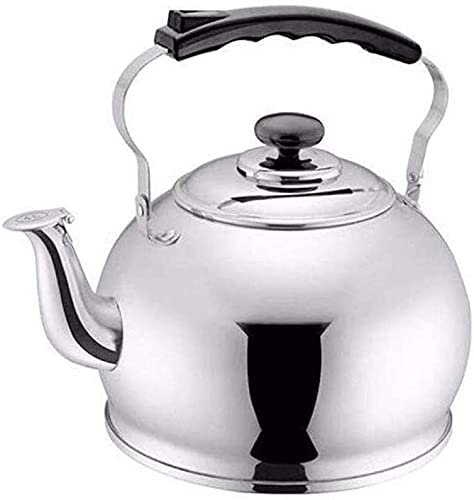 ZHANGDONG Bouilloire INOX Bouilloire sifflante Théière en Fonte Cafetière à thé avec Bouilloire Chaude, Bouilloire à ébullition Rapide, exquise et Belle, Universelle pour Tous Les Types