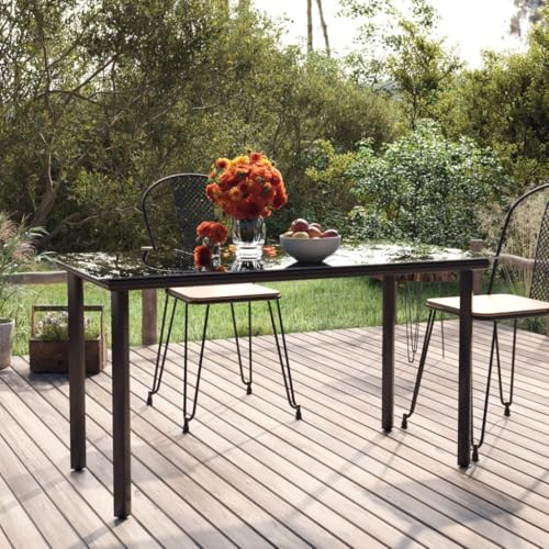 WSJHUHK Möbel, Outdoor-Möbel, Outdoor-Tische, Garten-Esstisch, Schwarz, 200 x 100 x 74 cm, Stahl und gehärtetes Glas