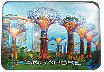 3D Gärten Durch Die Bucht Singapur Kühlschrank Kühlschrankmagnet Kristallglas Magnet Tourist Travel Souvenir Collection Geschenk Magnetische Aufkleber Home Küche Dekoration
