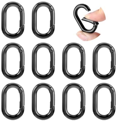 10 Pcs Small Carabine Black Mini Carabiner Clip 1in Tiny Spring Snap Hook Heavy Duty Key Ring for Car Keychain Hooks Outdoor Camping Fishing Climbing Hiking Wallet Purse Keychain Replacement