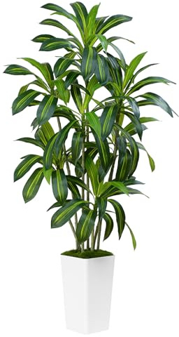 ZEEOZE Dracaena Plant Artificial Tree 6Ft Tall Fake Tropical Floor Plants Potted (Real Touch) Artificial Silk Tree Leaf Faux Trees White Tall Planter for Home Office Living Room Indoor Outdoor Decor