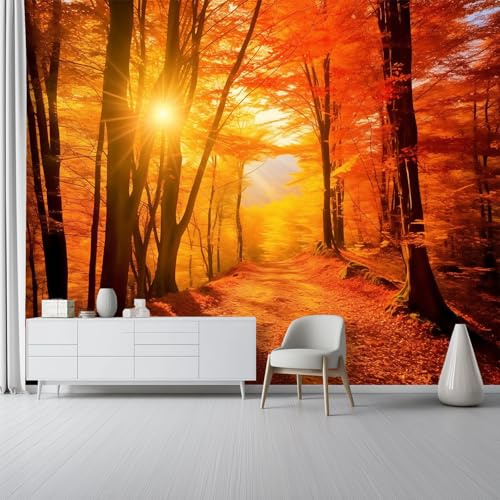 Soggiorno Carta da Parati Murale 250 x 175 cm, Natura Bosco Autunnale Sentiero Nel Bosco Carta da Parati per Parete TV Camera da Letto Decorare, Colore Arancione Decorazione Murale Fotomurale