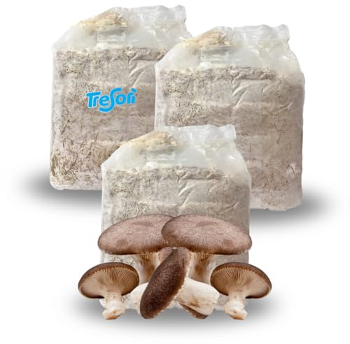 Tresorì - 3 Panetti Funghi Cardoncelli, Pleurotus Eryngii, Balletta di Funghi con Micelio di Prima Scelta, Fungo della Murgia, Set Coltivazione - MADE IN ITALY