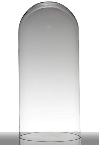 INNA-Glas Campana de Cristal Adelina, Cilíndrica - Redonda, Transparente, 59,5cm, Ø 28cm - Recipiente Grande
