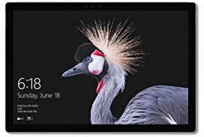 Microsoft Surface Pro Tablet Gris Gris Intel Core i7, RAM 8 GB, SSD 256 GB (Reconditionné)