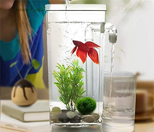Aquarium Kunststoff faule Aquarette Kleine Aquarium Mini Goldfischschüssel Quadratische Fischtank Runde Fischtank Ökologisch Fischbund Rransparen Aquarien ( Color : Square fish tank , Size : S )