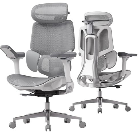 Hbada E3 Pro Ergonomischer Bürostuhl mit 3-Zonen dynamischer Lendenwirbelstütze, Schreibtischstuhl mit 4D verstellbare Kopfstütze, 6D-Armlehnen verstellbar, Grau