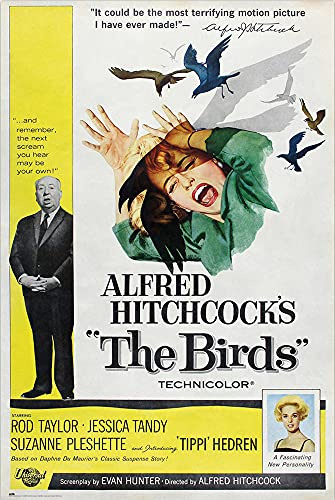 Alfred Hitchcock's The Birds - Movie Poster (Regular Style) (Size: 24 x 36)